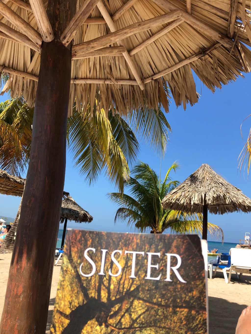 The Journey Begins&nbsp;(Again)